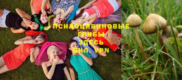 прущий лед Беломорск