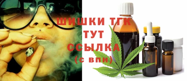 ПСИЛОЦИБИНОВЫЕ ГРИБЫ Белокуриха