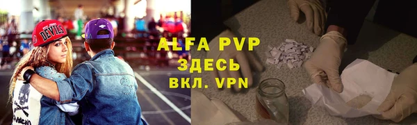 ПСИЛОЦИБИНОВЫЕ ГРИБЫ Белокуриха
