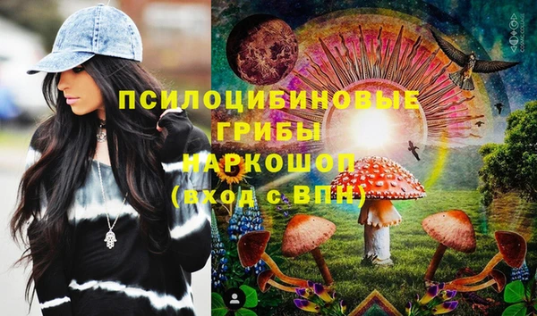 ПСИЛОЦИБИНОВЫЕ ГРИБЫ Белокуриха