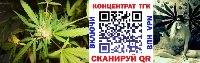 OMG ONION  Екатеринбург  ТГК жижа 